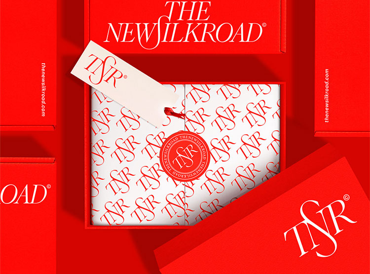 The New Silk Road貿(mào)易公司品牌VI設計